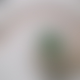 Images' title